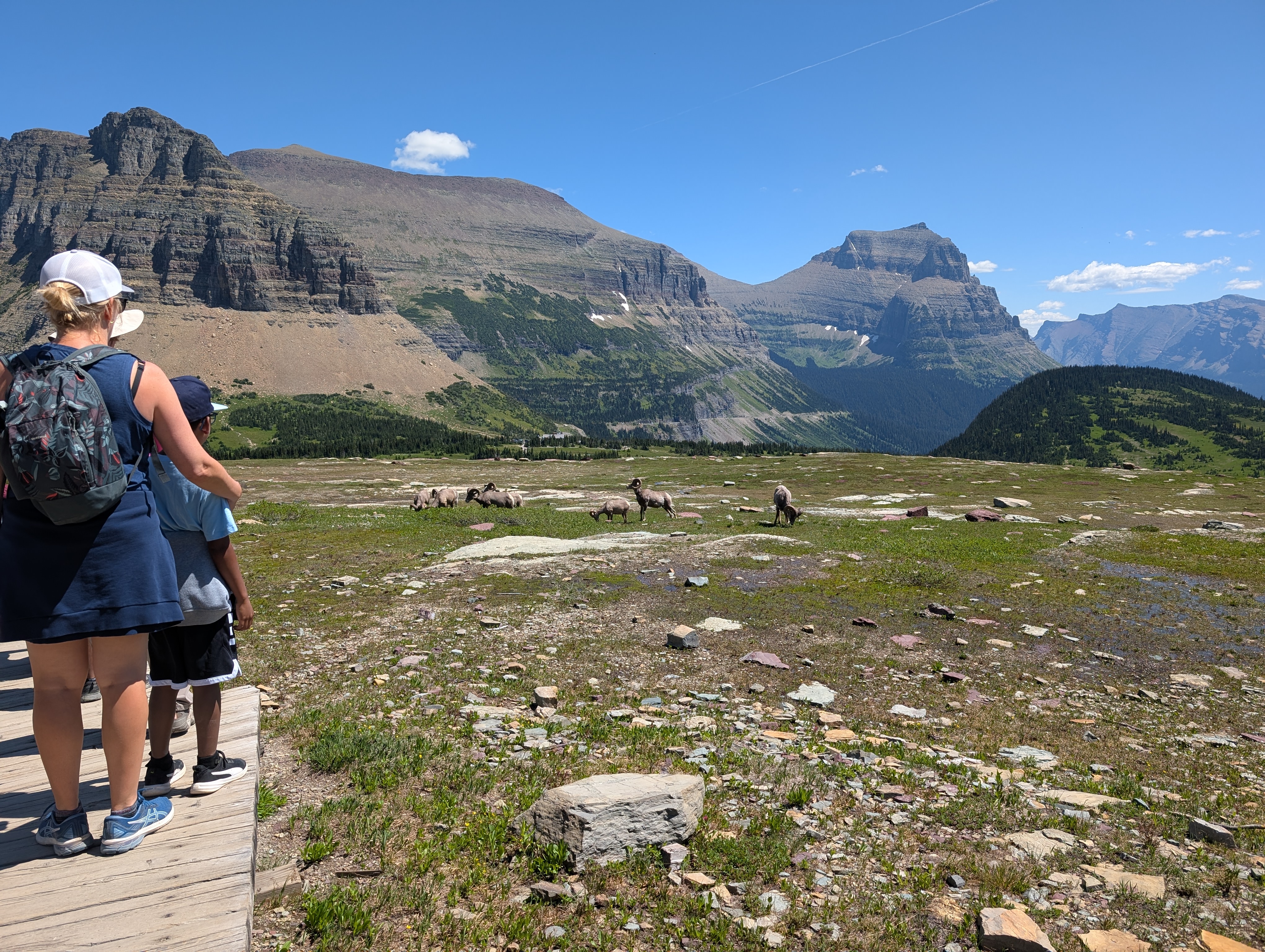 A backpacker on a high trail in Glacier National Park